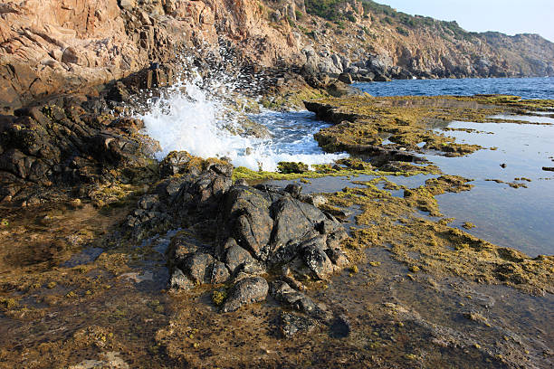 tôt le matin, otter cave, vinh hy, phan rang-thap cham, vietnam. - phan rang photos et images de collection