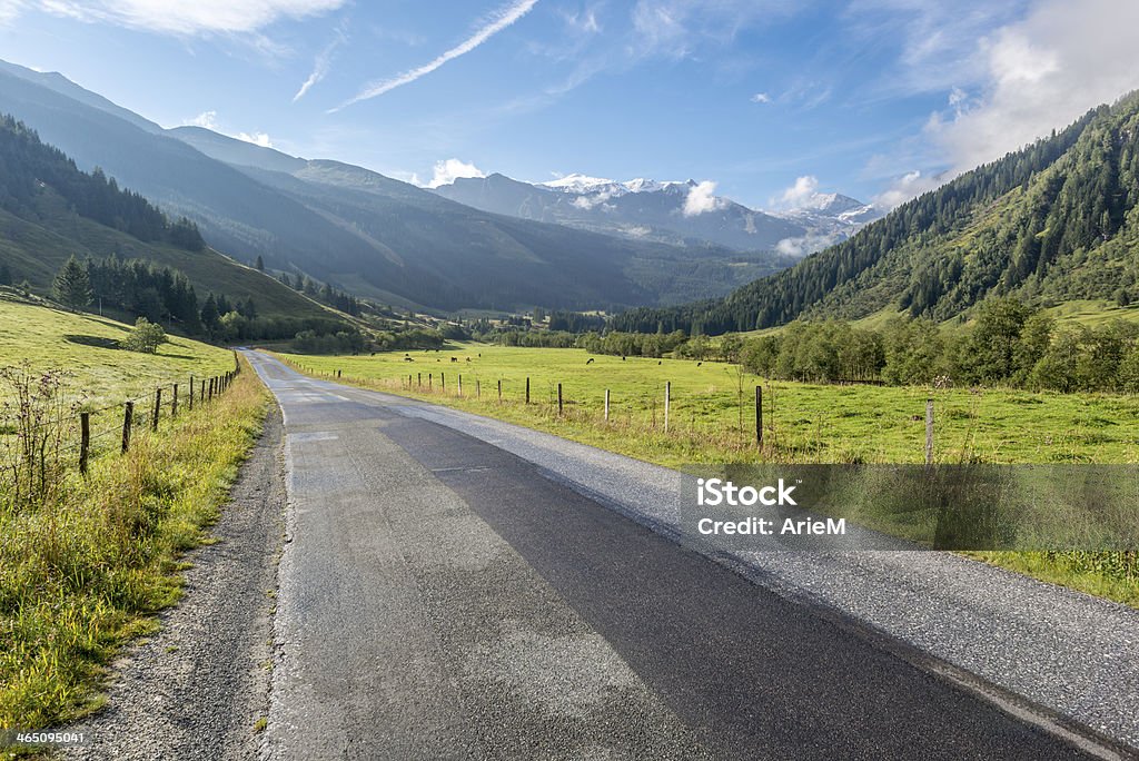 Alpine Valle di - Foto stock royalty-free di Albero