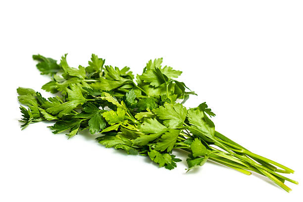 istock Green tops of parsley on white background 465095896