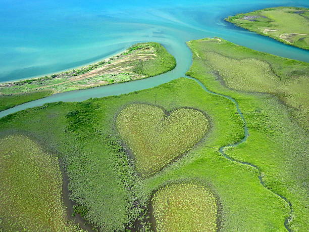 Heart of Voh seen from ULM - New Caledonia stock photo