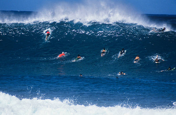istock Surfers Paddling Out To Catch Wave 465096850