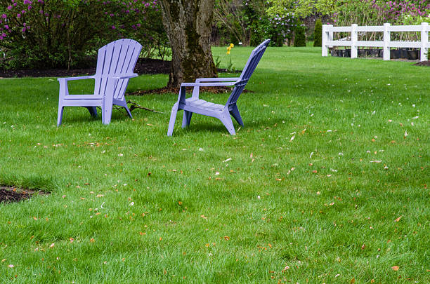 istock Two purple chairs on green lawn 465098536