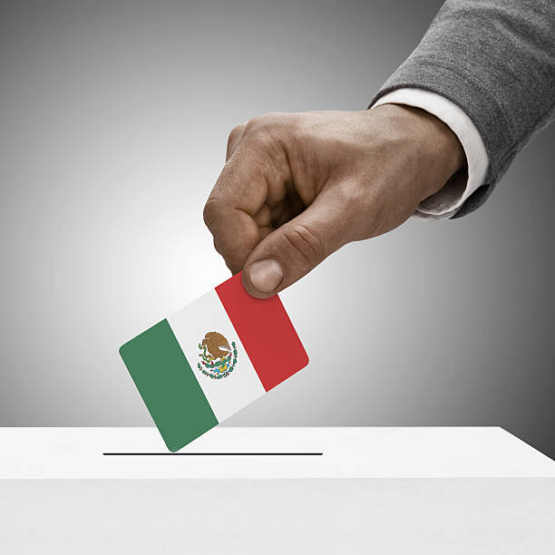 istock Black male holding flag. Voting concept - Mexico 465100916