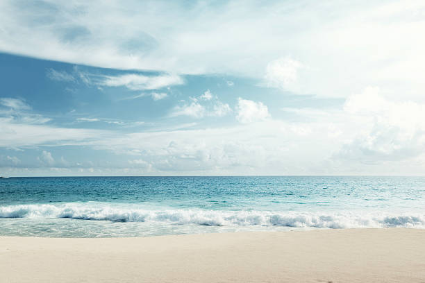tropical beach tropical beach horizon over water stock pictures, royalty-free photos & images