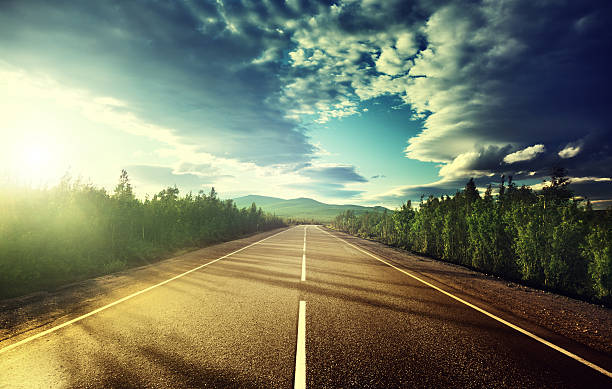 istock An open road lined with trees in the mountains 465102798