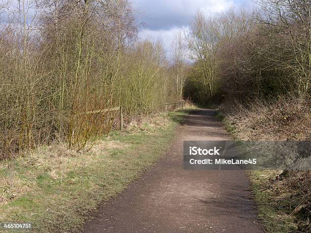 Sandwell Rspb - Fotografie stock e altre immagini di Acqua - Acqua, Ambientazione esterna, Composizione orizzontale