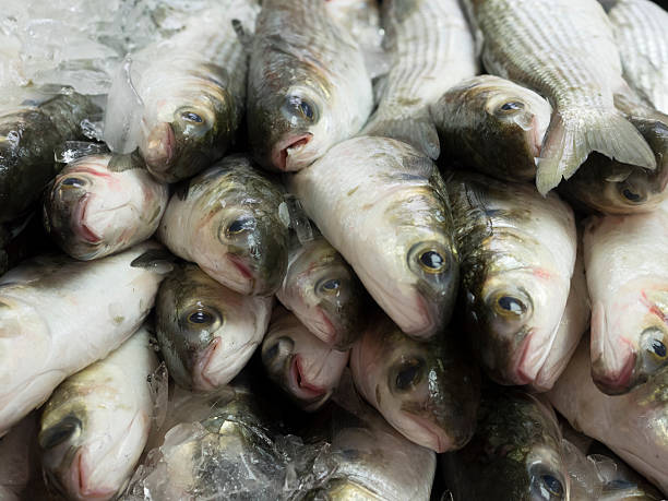 Frozen ova de peixe fresco do mercado - foto de acervo