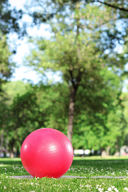 istock Red pilates ball in a park 465107577
