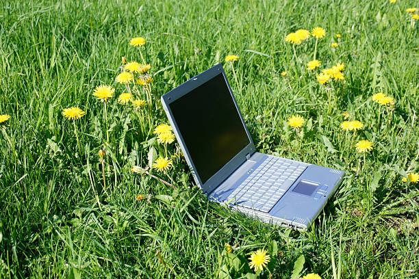 istock Lone laptop in green field 465107877