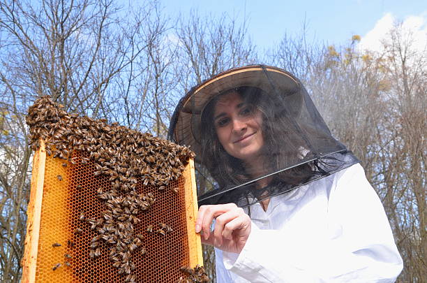 istock young girl beekeeper in apiary 465110446