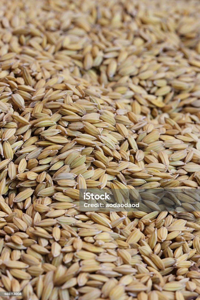 close up organic rice in sack bag close up organic rice background 2015 Stock Photo
