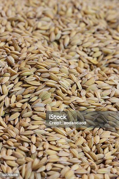 Close Up Organic Rice In Sack Bag Stock Photo - Download Image Now - 2015, Active Seniors, Agriculture