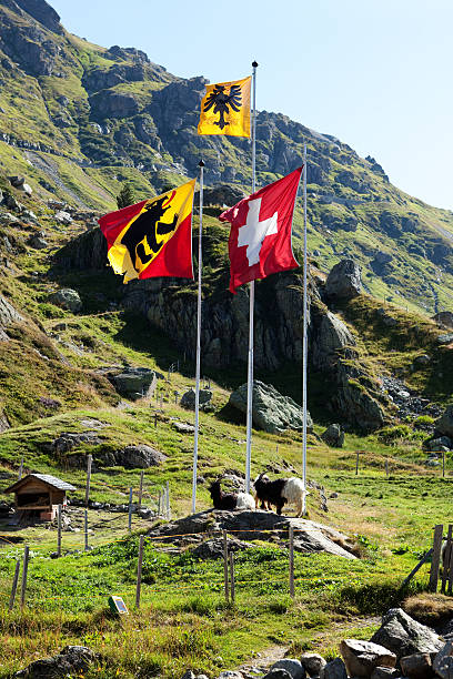 istock Flags of Uri Switzerland and Bern Canton 465113025