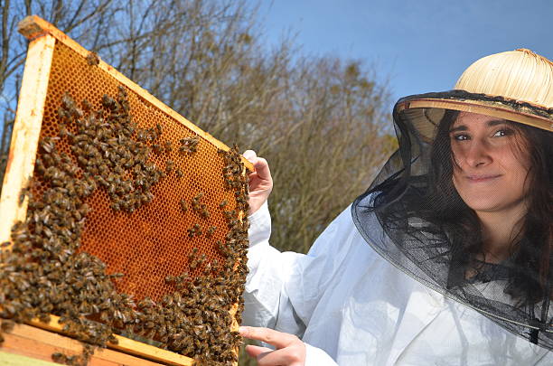 istock young girl beekeeper in apiary 465114428