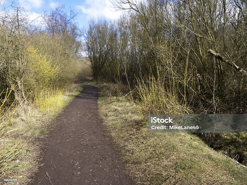 Sandwell RSPB reserva - Foto de stock de Agua libre de derechos