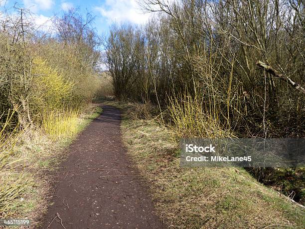 Foto de Sandwell Rspb Royal Society For The Protection Reserva e mais fotos de stock de Exterior