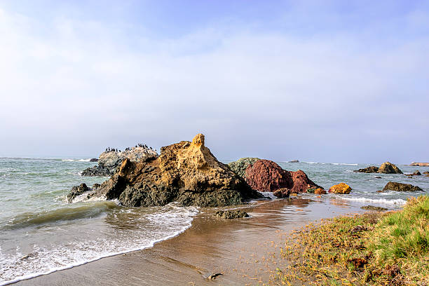 istock Waves splashing on a painted rocky beach 465116110