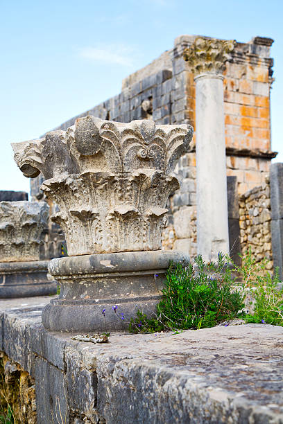 istock volubilis in morocco africa the   deteriorated monument and site 465117962