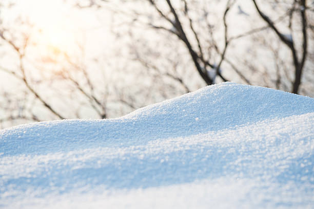 a cobertura de neve de inverno fresco - neve acumulada pelo vento - fotografias e filmes do acervo