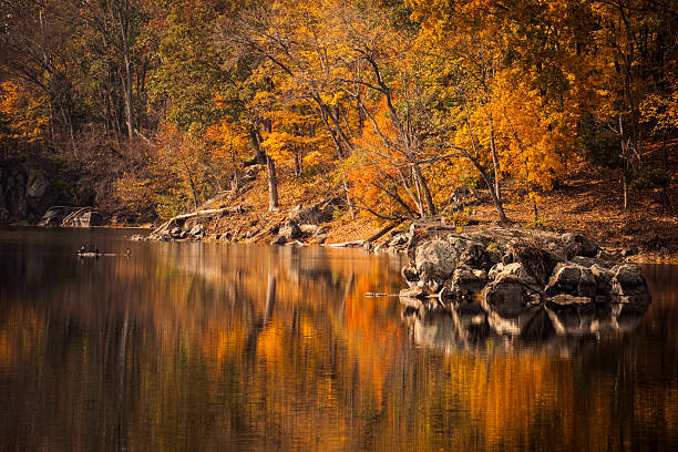 River at Great Falls National Park