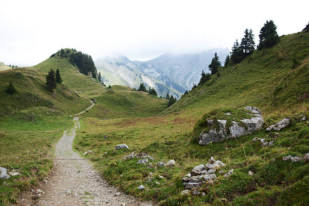 istock Hiking Path on Schynige Platte, Switzerland 465119969