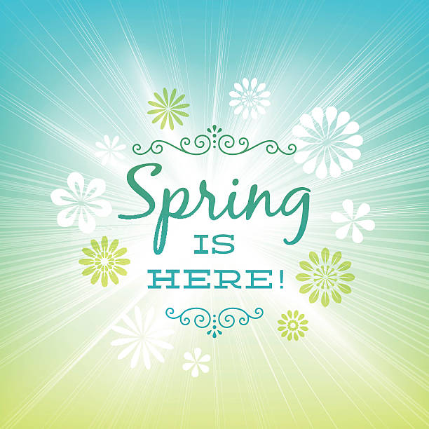 весна солнечный свет взрыв фоне - flower backgrounds single flower copy space stock illustrations