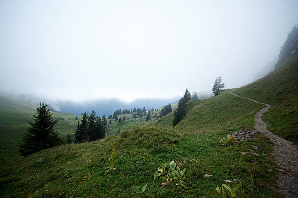 istock Hiking Path Over Hills on Schynige Platte, Switzerland 465120109
