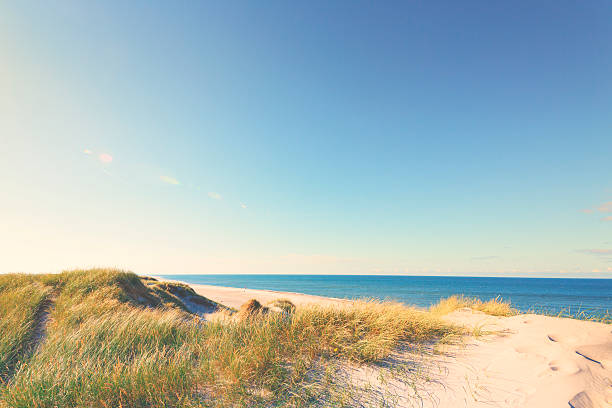 istock Beach by the North Sea 465122060