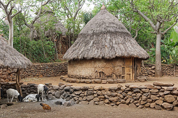 istock Konso, Ethiopia, Africa 465126154