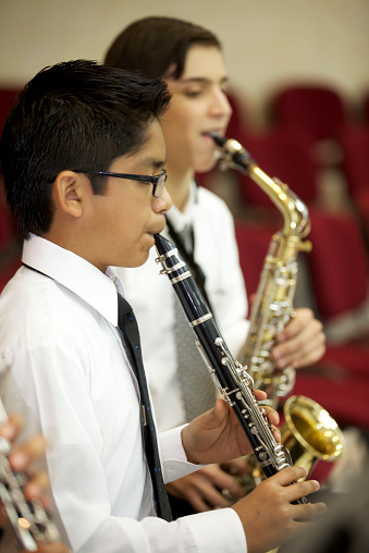 wood winds and brass instruments in orchestra