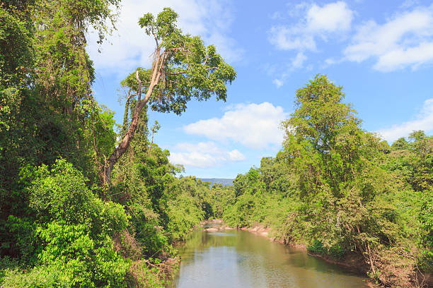 istock River in forest with blue sky, Khao Yai, Thailand 465128389