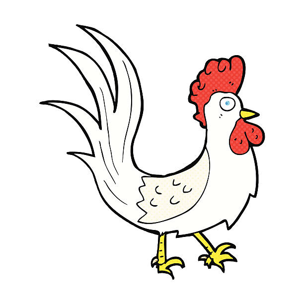 comic cartoon cockerel retro comic book style cartoon cockerel crazy chicken stock illustrations