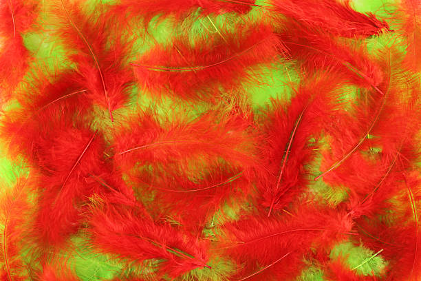 istock Red and green plumes background 465129778