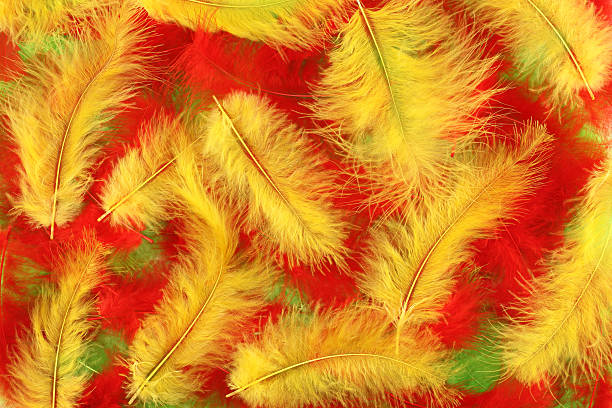 istock Red, yellow and green plumes background 465129780