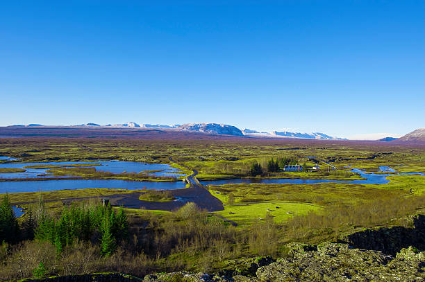 istock Thingvellir National Park rift valley in Iceland 465129980