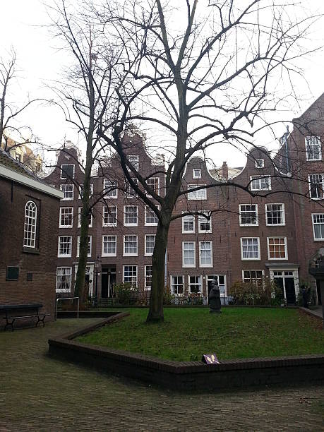 istock Houses in Amsterdam 465130818