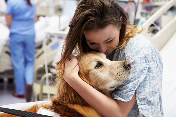 cane visita giovane paziente in ospedale - animal recovery illness pets foto e immagini stock