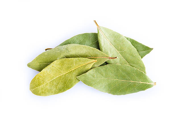 istock Bay laurel leaves isolated on white background 465133416