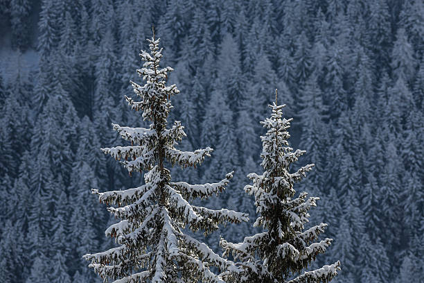 istock Winter in the Alps 465133556