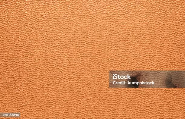 Orange Leather Texture Background Stock Photo - Download Image Now - 2015, Animal Body Part, Animal Skin