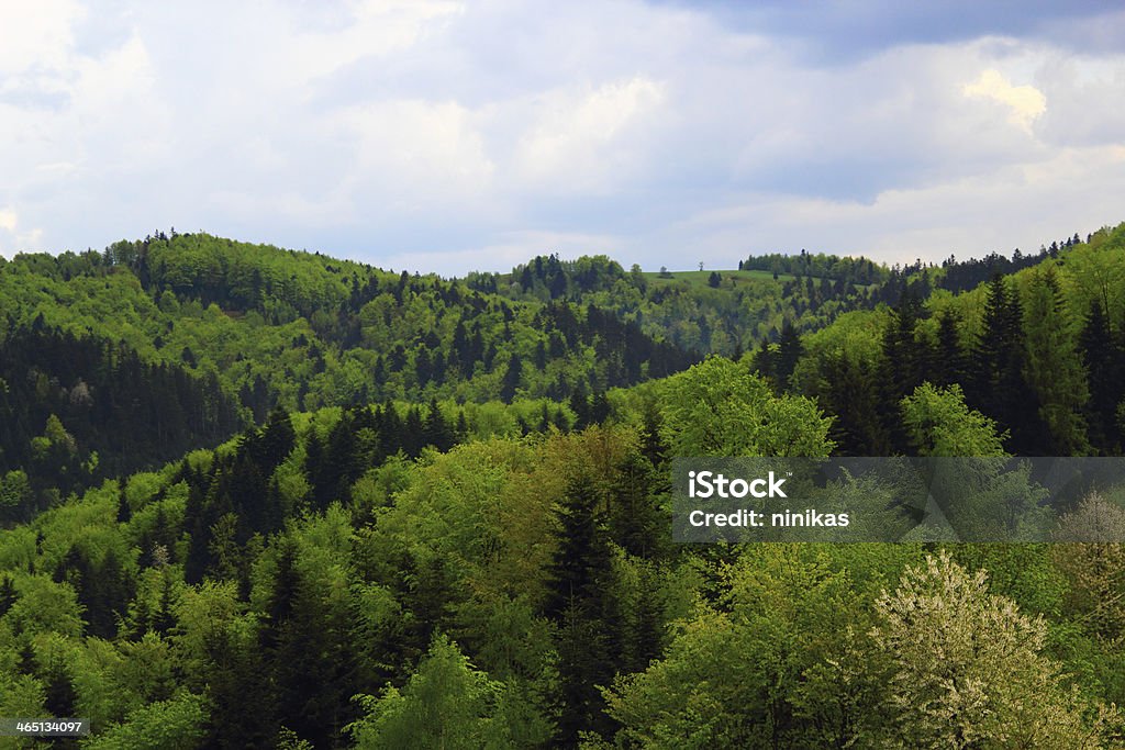 After raining in Mountains. Beskid, Poland. Beskid Mountains Stock Photo