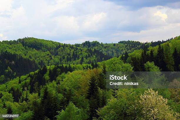 After Raining In Mountains Beskid Poland Stock Photo - Download Image Now - Beskid Mountains, Carpathian Mountain Range, Europe