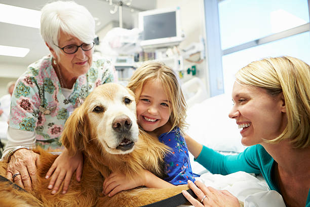 giovane ragazza in una visita in ospedale per la terapia cane - animal recovery illness pets foto e immagini stock