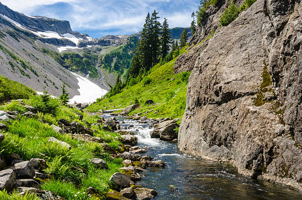 istock Mountain River in British Columbia, Canada. 465134776