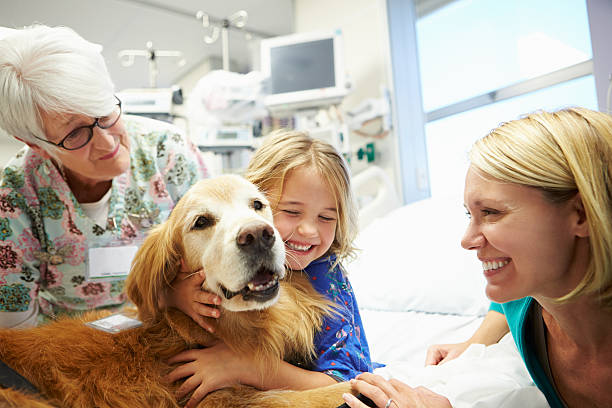 junge mädchen umarmen hund im krankenhaus-therapie - six animals fotos stock-fotos und bilder