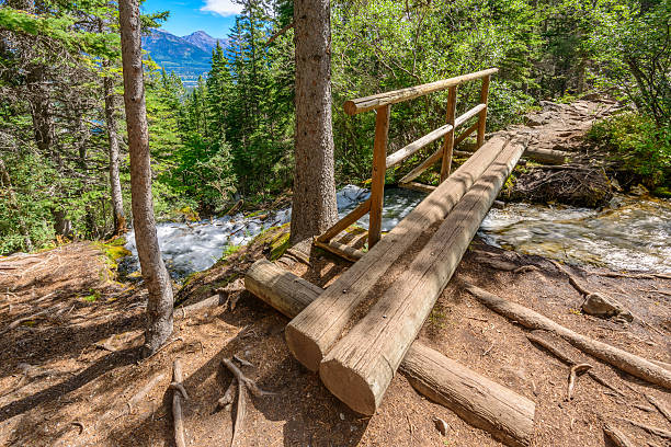 istock Mountain River in British Columbia, Canada. 465138222