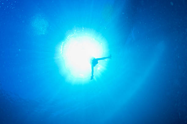 istock backlight diver underwater coming to the deep ocean 465138706