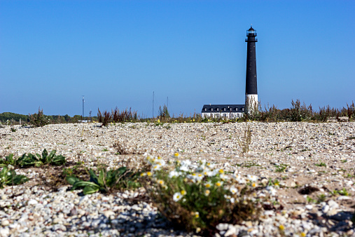 Sõrve lighthouse in Saaremaa in Estonia