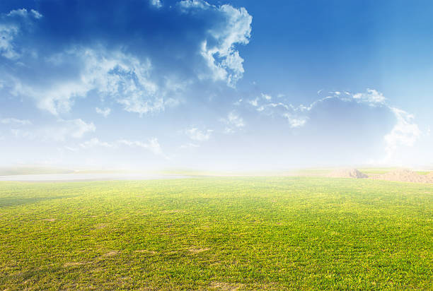 istock wood terrace and sky 465139772
