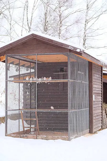 Aviary for pigeons